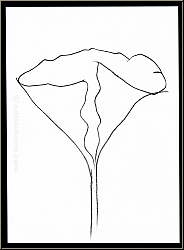 Ellsworth Kelly: 'Lotus' Lotusbl�te 1982, Original-Lithographie, Hommage � Aim� et Marguerite Maeght - Werke
