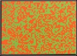 Fran�ois Morellet: 40.000 Carr�s Orange-Gr�n Serigraphie handsigniert, Denise Ren� Paris, Ausstellungsst�ck