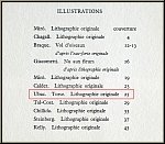 Raoul Ubac: 'Torso' Original-Lithographie f�r Maeght und Redfern, 1966, Aktstudie in Schiefergrau - Werke